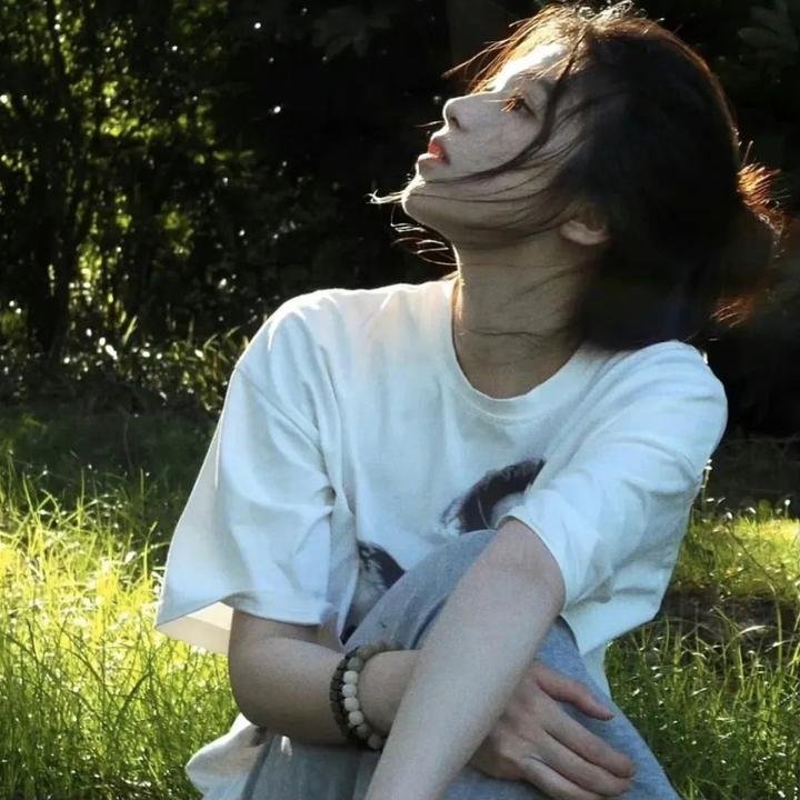一鸣惊人之以梦为马